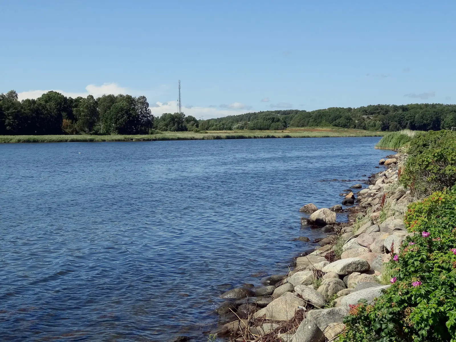 Askimsviken en sommardag med stenig strand och skog